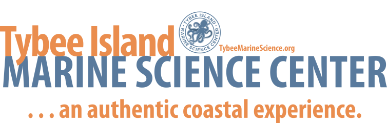 Tybee Island Marine Science Center